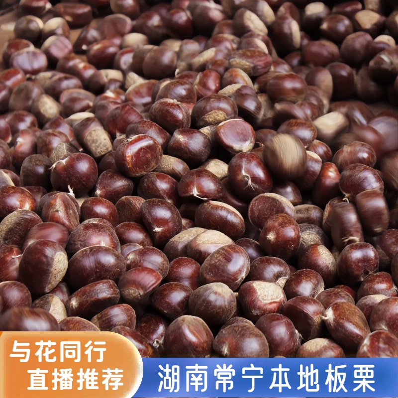 【王小花推荐】湖南常宁新鲜本地板栗生吃熟吃煲汤