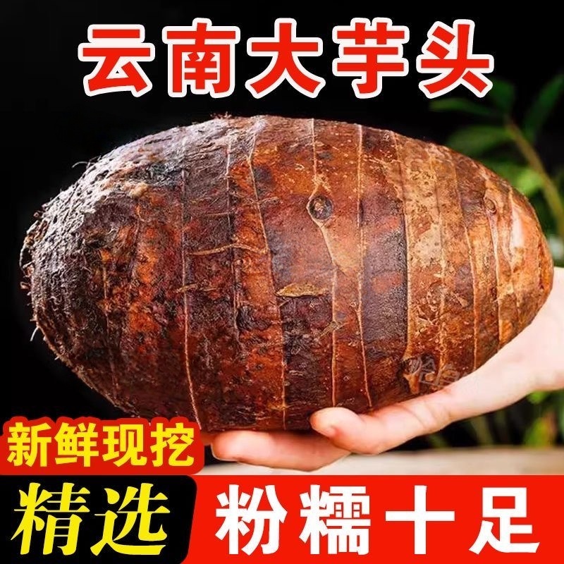 【净重9斤】正宗芋头超新鲜香芋软糯荔浦芋头当季新鲜蔬菜特大芋头