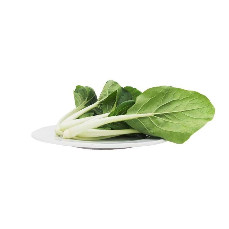 Y奶油菜约250g