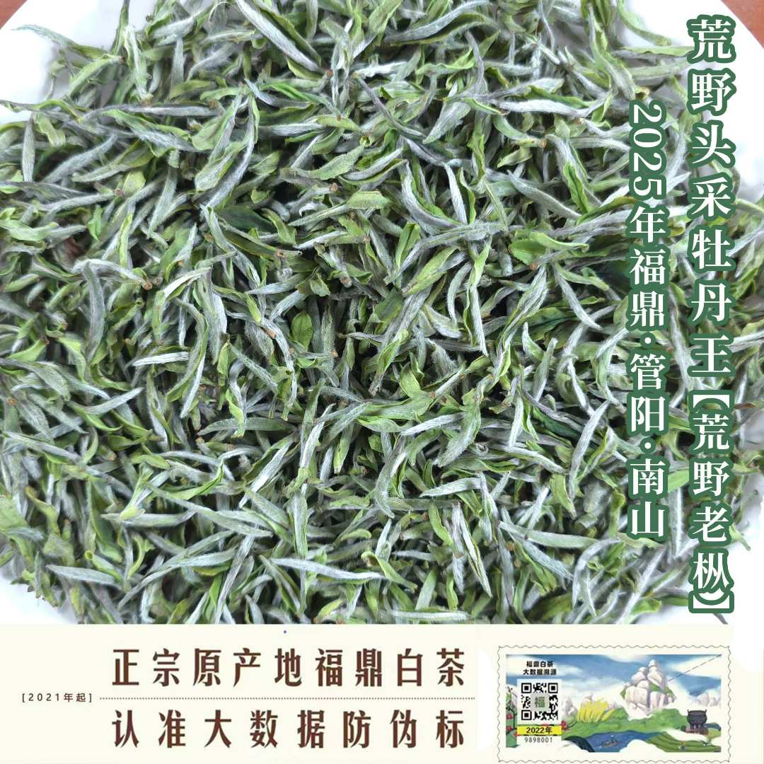 【管阳镇·思路和】2025年荒野头采·牡丹王特级散茶老枞海拔836米高