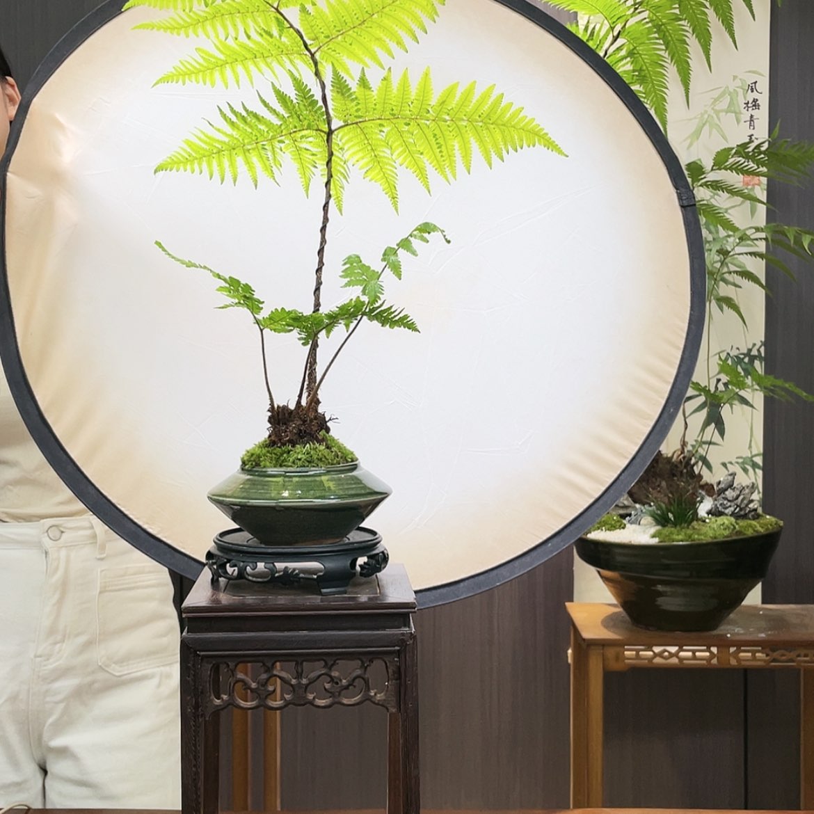 【闪购商品】X*蕨蕨蕨蕨蕨蕨蕨蕨蕨