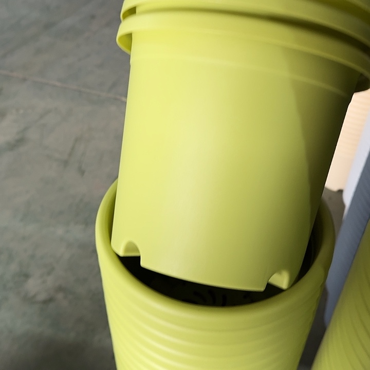 四季4#口径25果绿3个无托