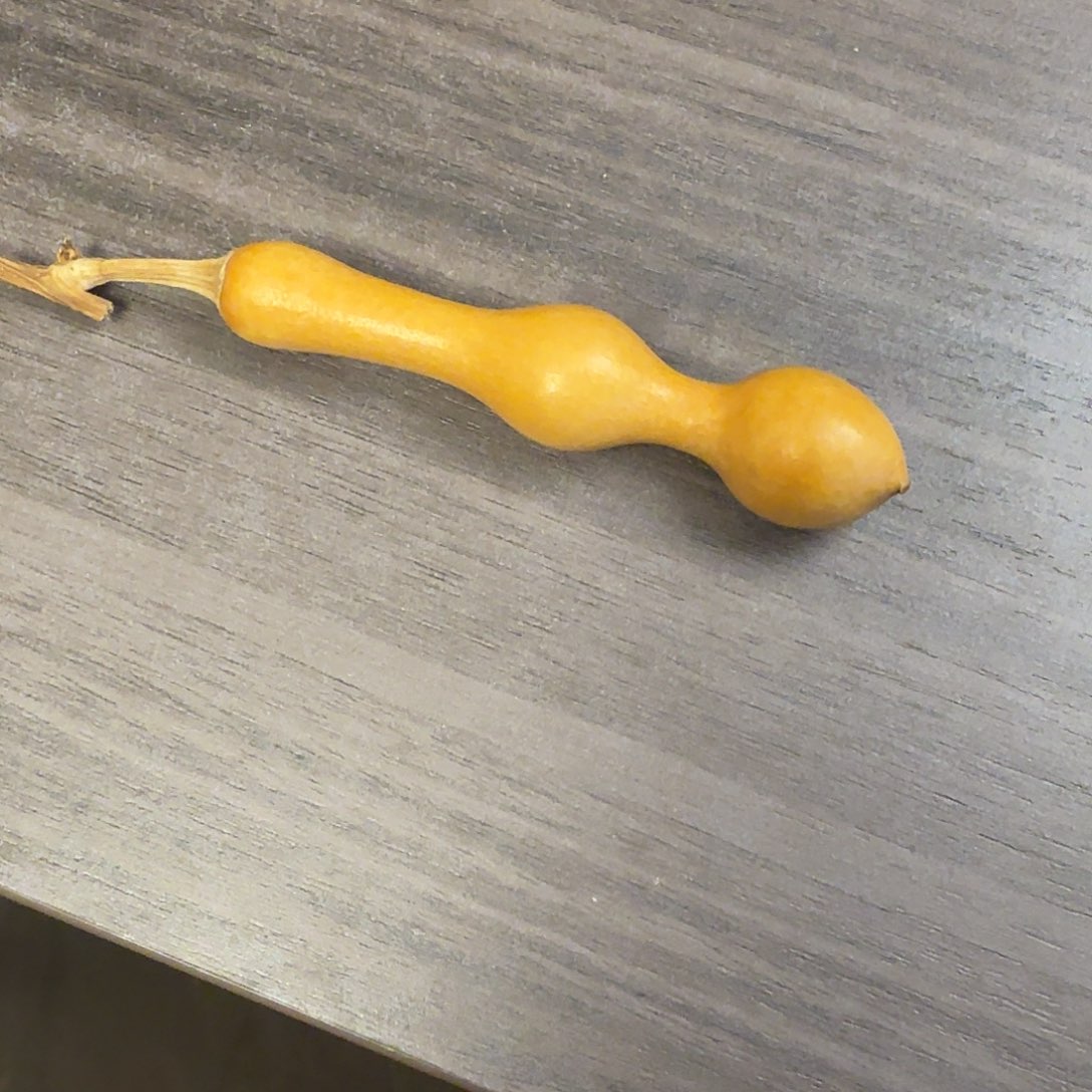 ****爷木远扬工艺葫芦小号