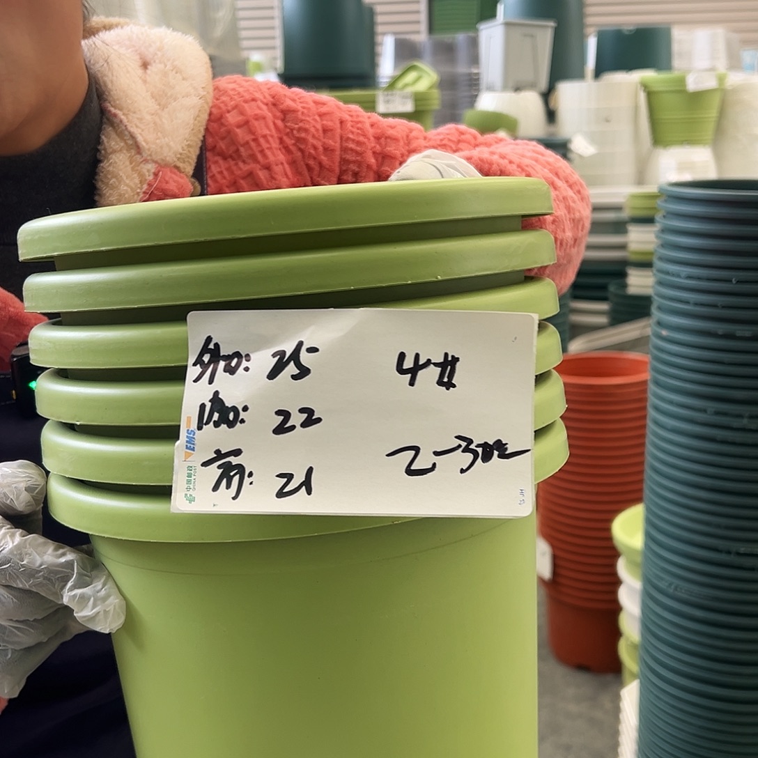四季盆4#果绿色8个无托