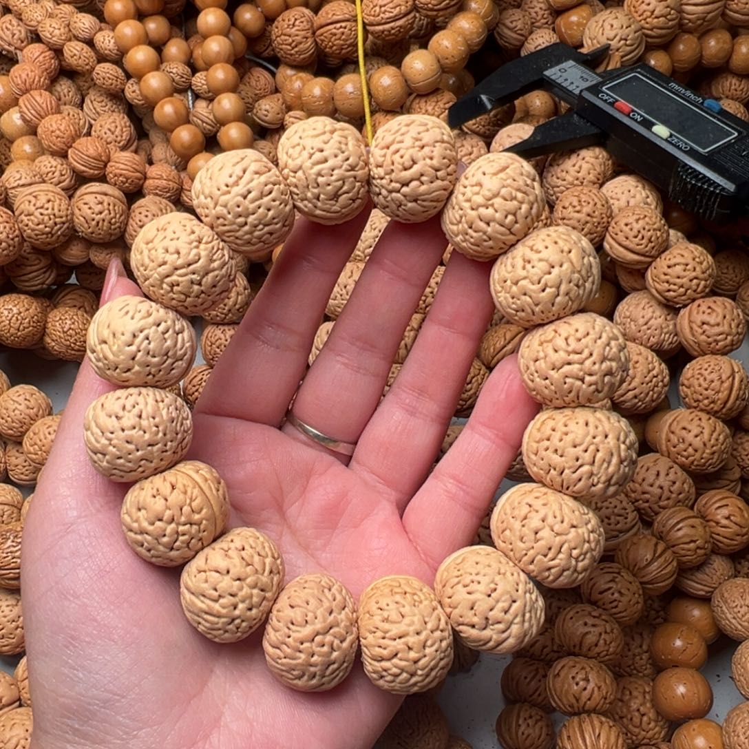 22尺寸苹果圆桃核