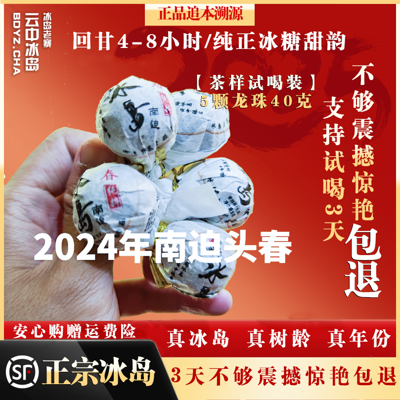 【冰岛南迫头春纯料传统晒青工艺普洱茶】冰岛南迫头春原生态生普
