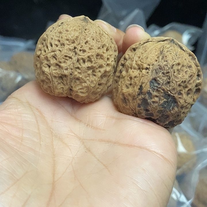 木质类云南铁核桃+63