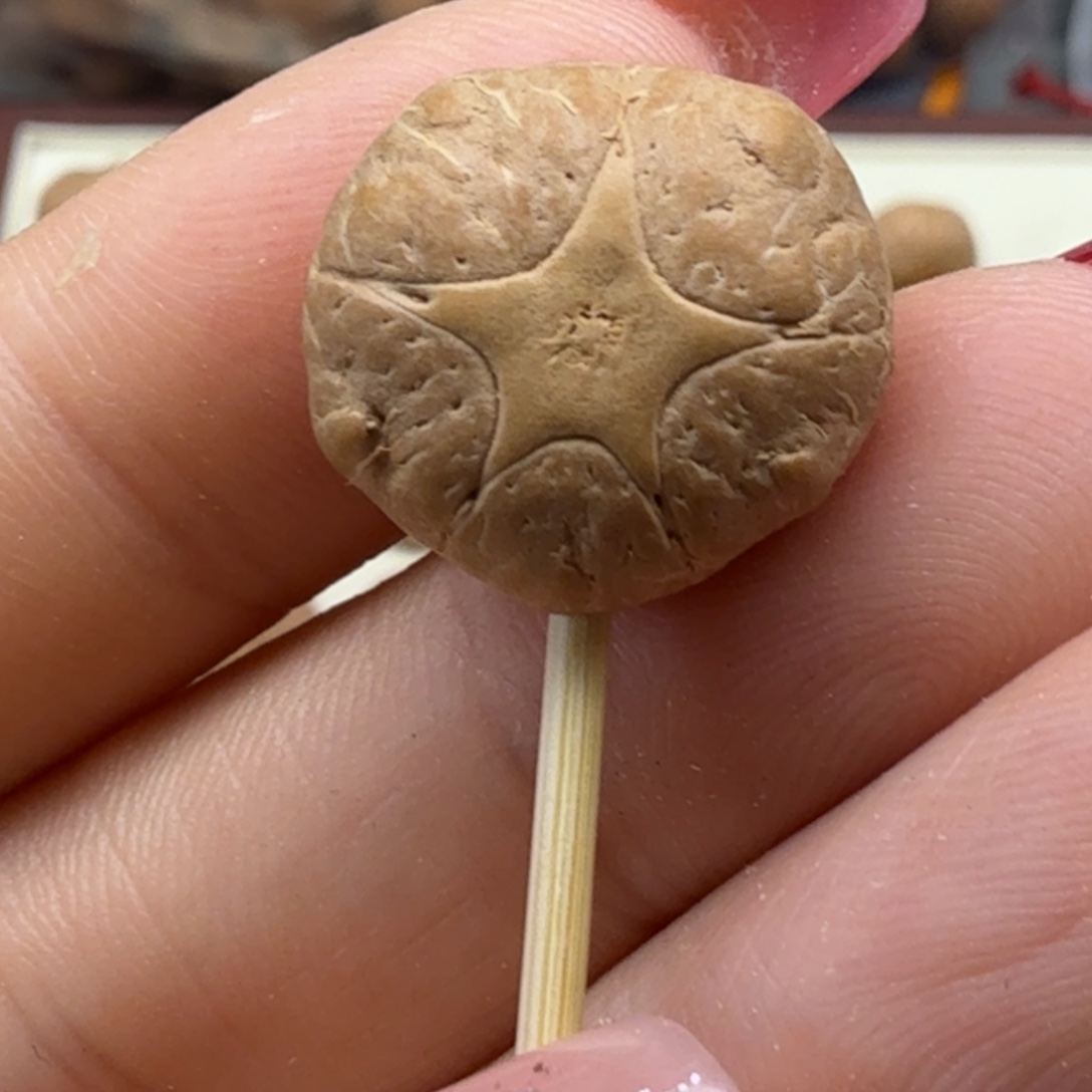 一***人凤眼菩提吊坠五星三通