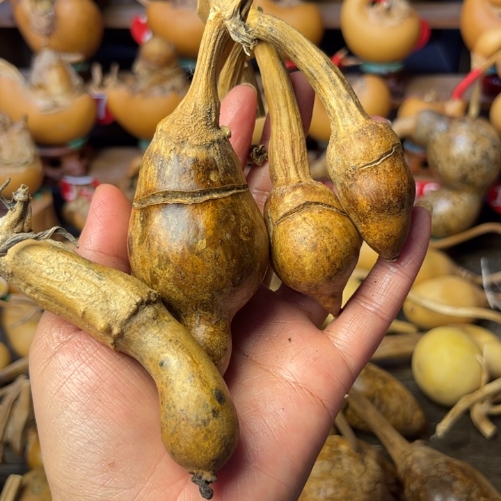 皮***丘天裂葫芦天天开心