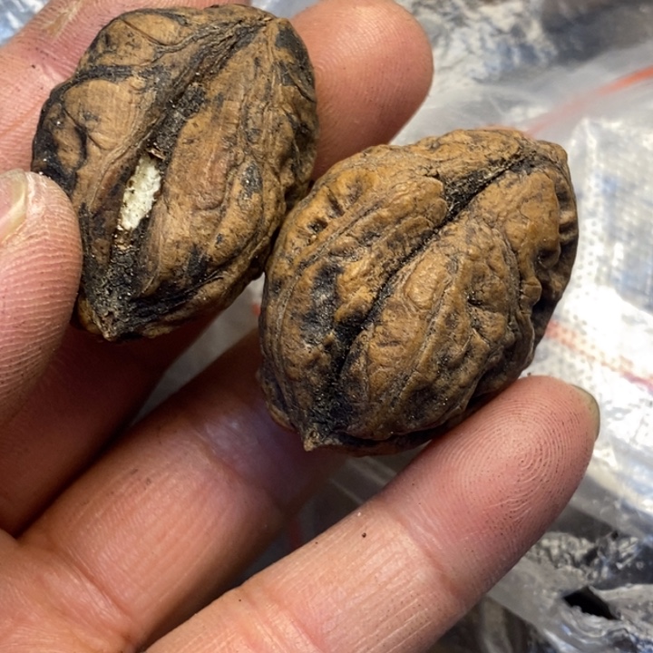 吊坠文玩核桃娜姐140