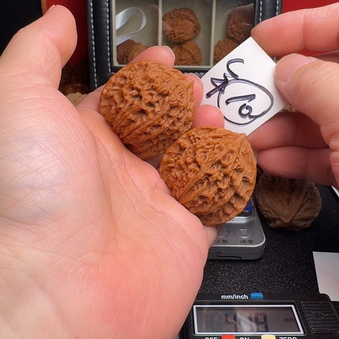 文玩核桃把件42盘龙