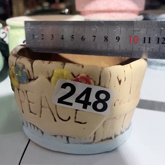 多肉植物花盆花盆