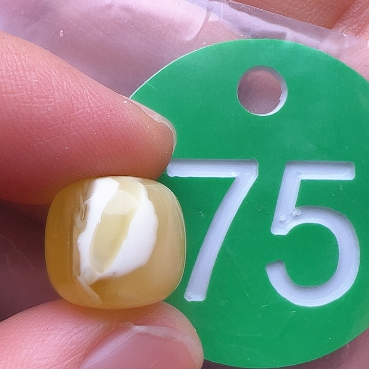 蜜蜡裸石未镶嵌金沙12/11m m