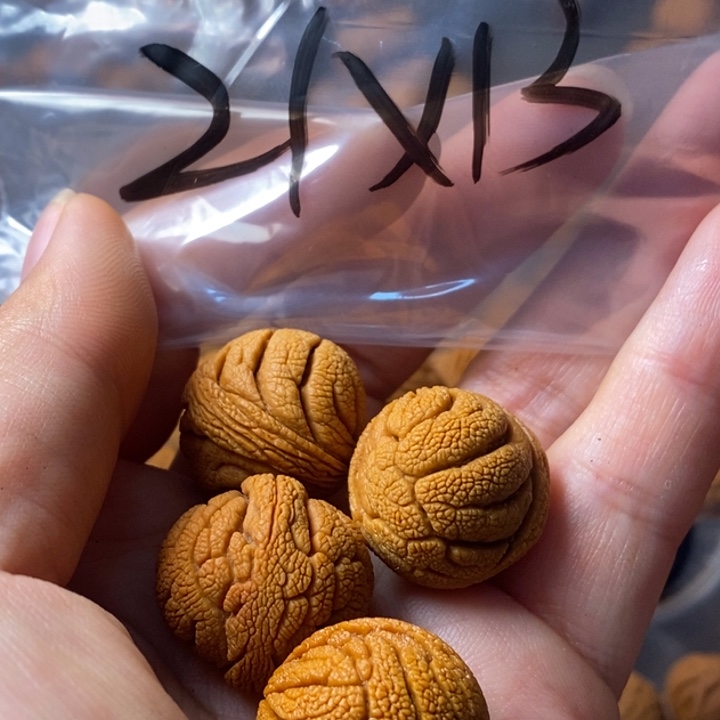 手串文玩核桃秦岭野生龙纹桃核21