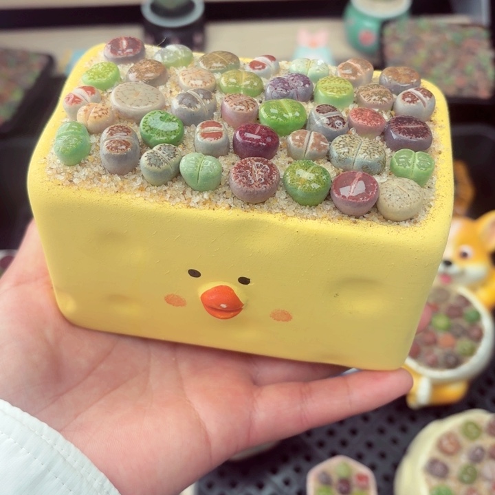 516零下地区记得拍保温箱