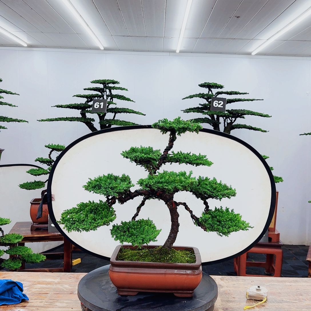 无花朵000000000000000