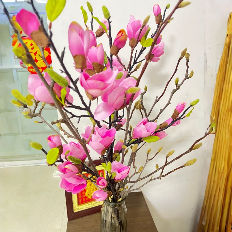 水培玉兰花干枝带花苞室内好养耐寒绿植水养鲜花卉