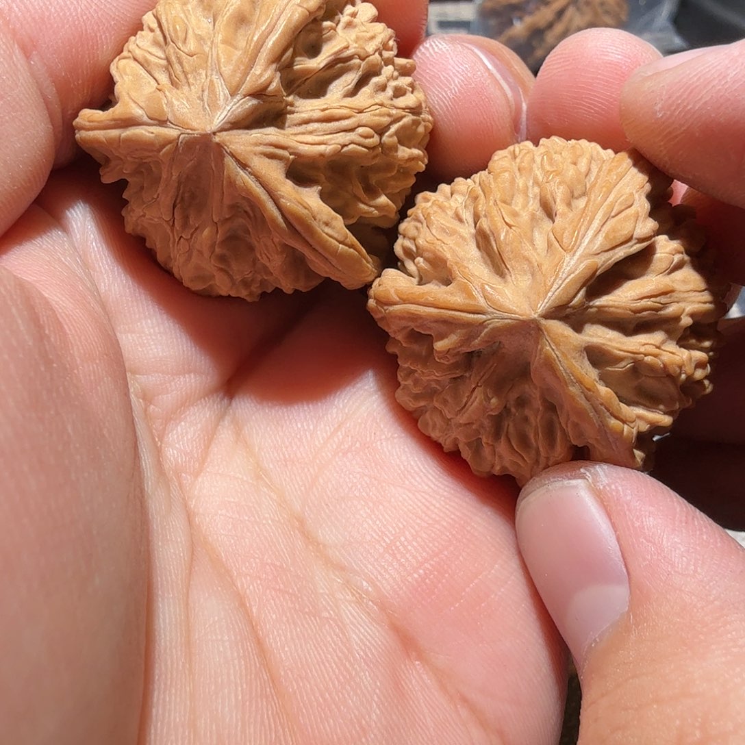 文玩核桃把件御龙正奔