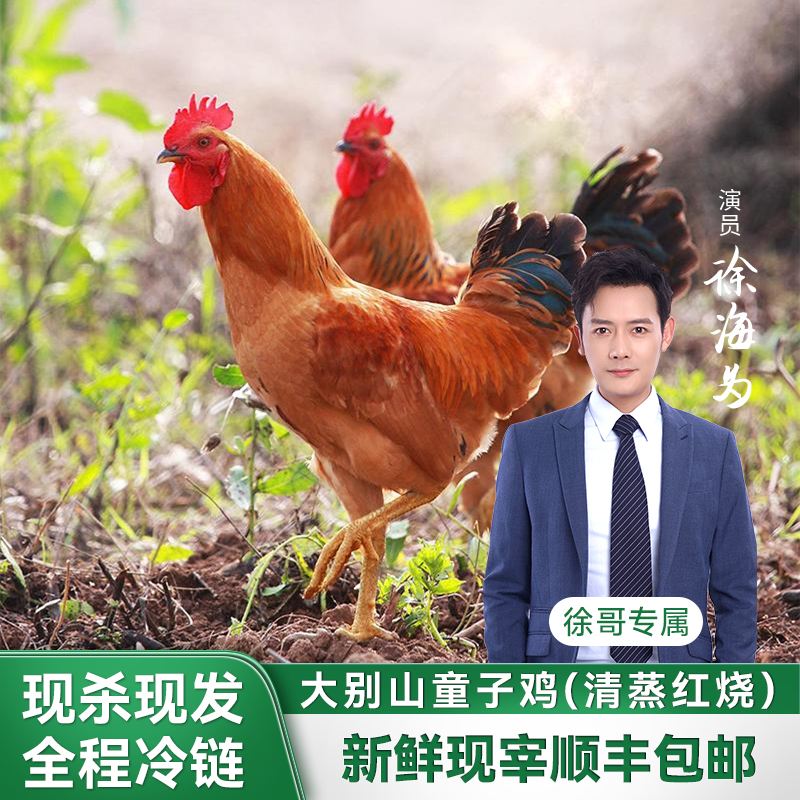 【徐哥专属】买一送一大别山童子鸡适合清蒸红烧 肉质鲜嫩