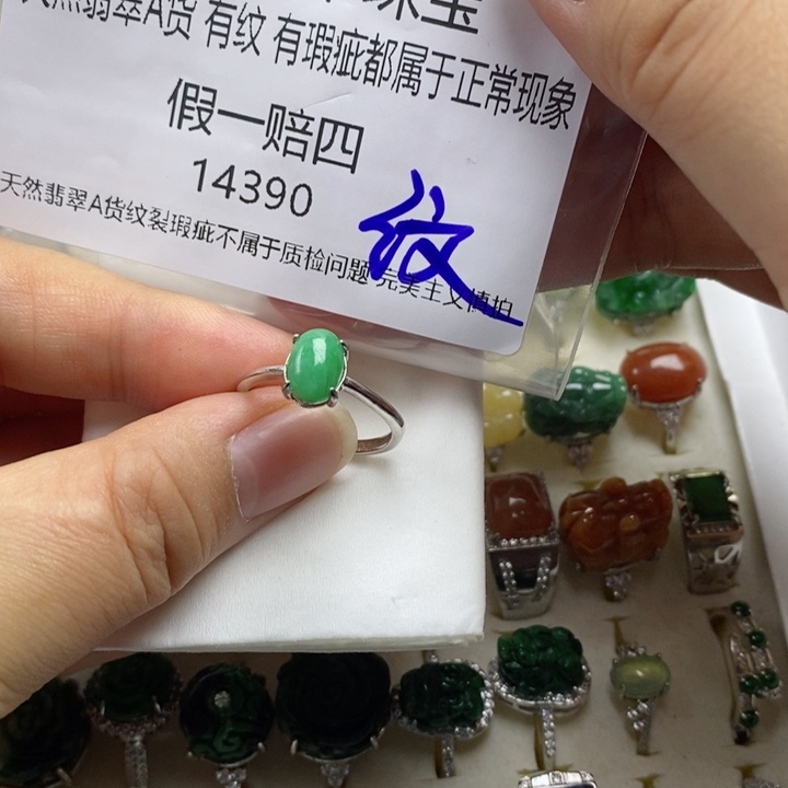 翡翠吊坠(赠链)未镶嵌