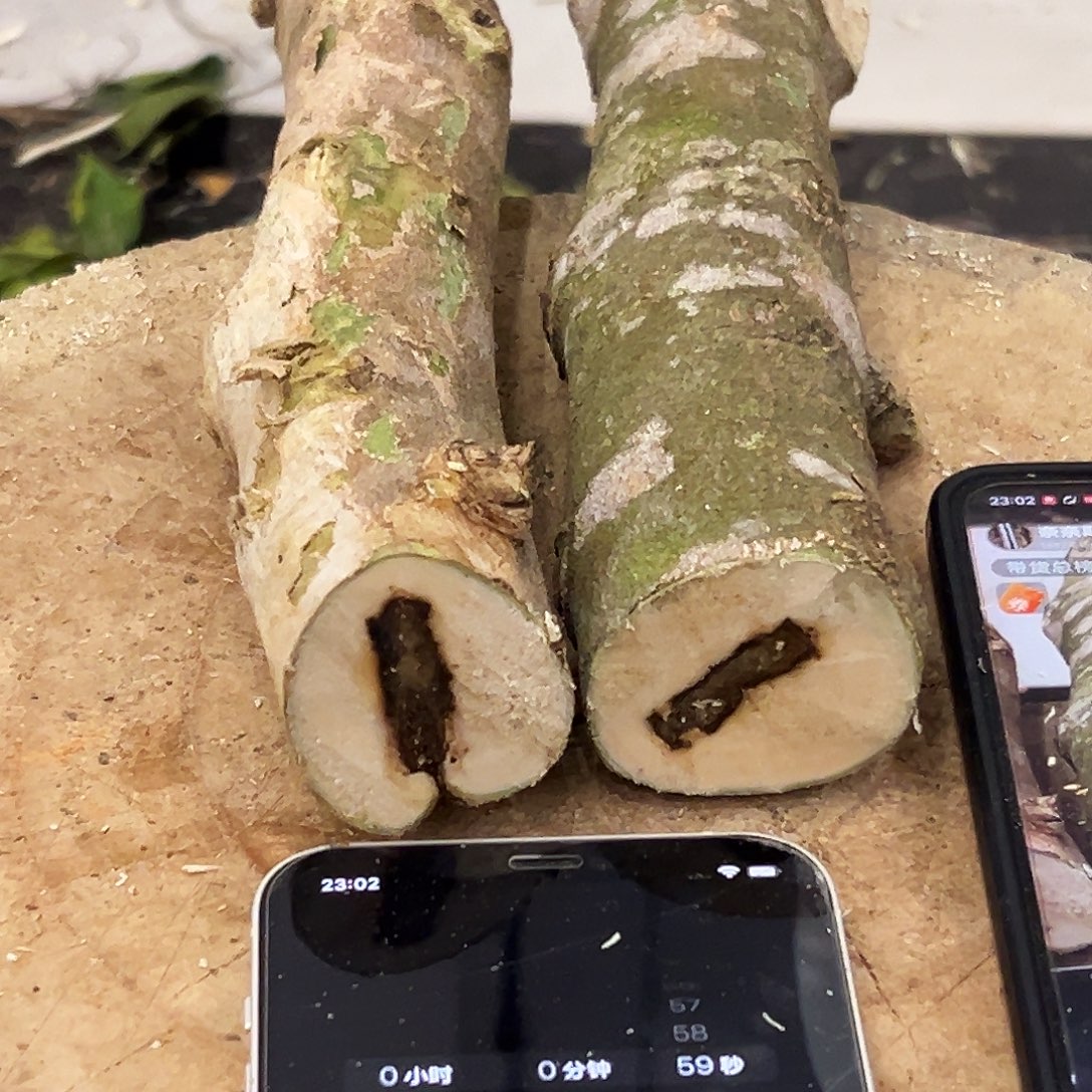 奇楠沉香原木原材料