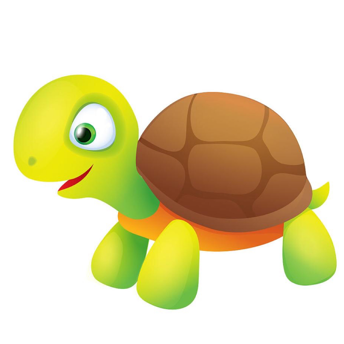 人工饲养宠物观赏龟