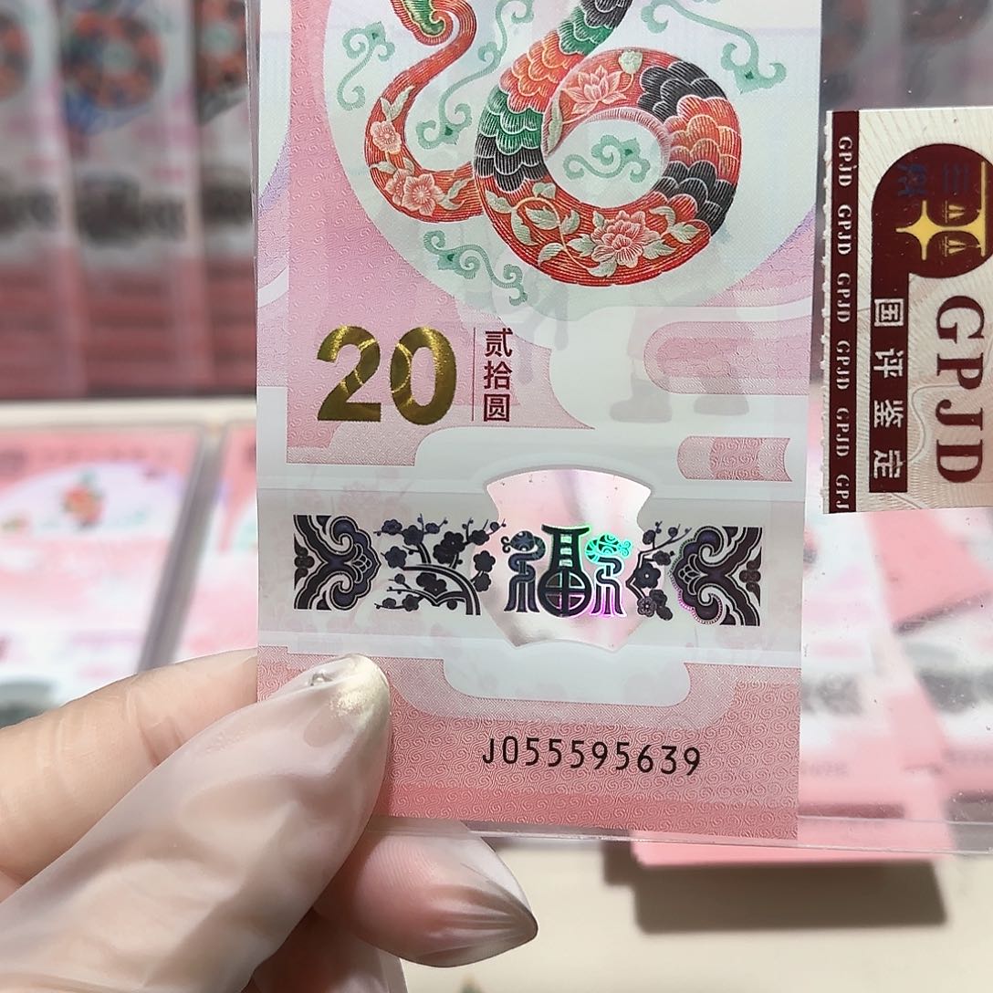 纸055595639。。。。。。。。。