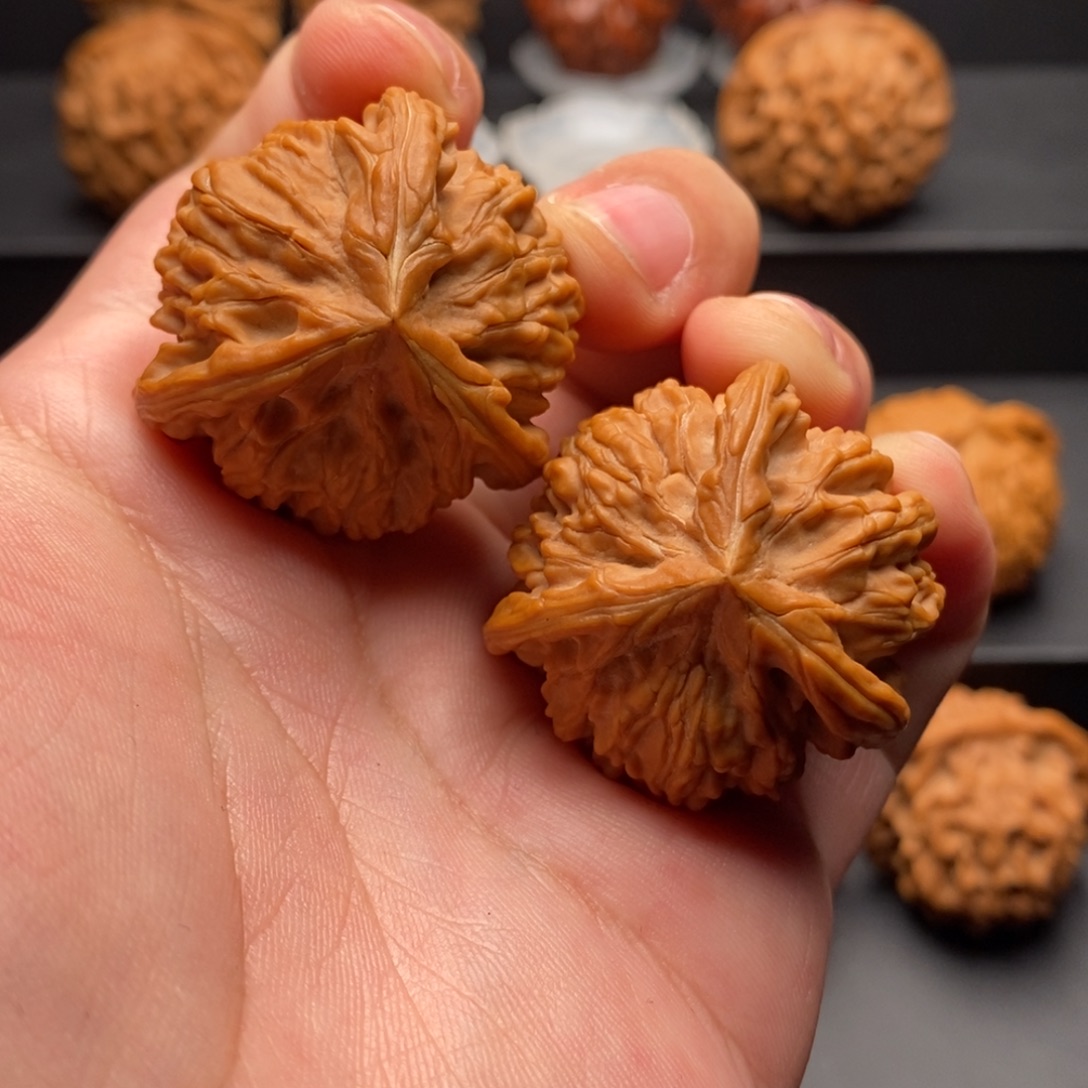 文玩核桃把件36尺全品御龙奔