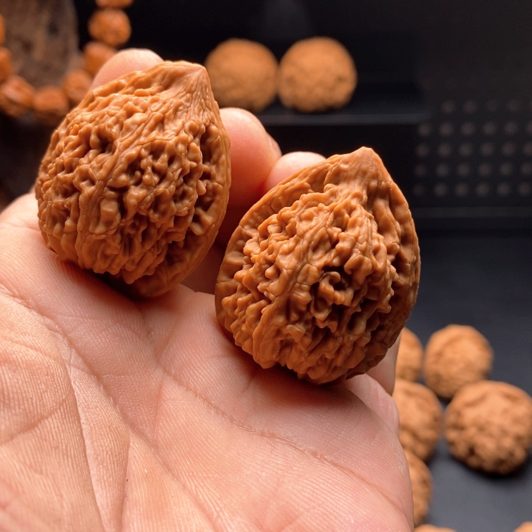 33全品蚂蚁王8888888888