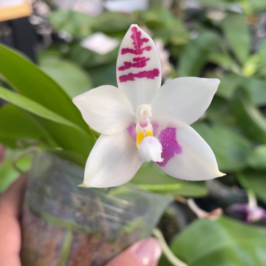 完全开放122558888