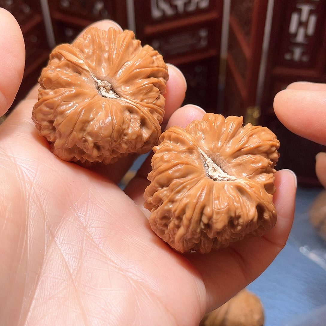 41平谷凹底……橘红