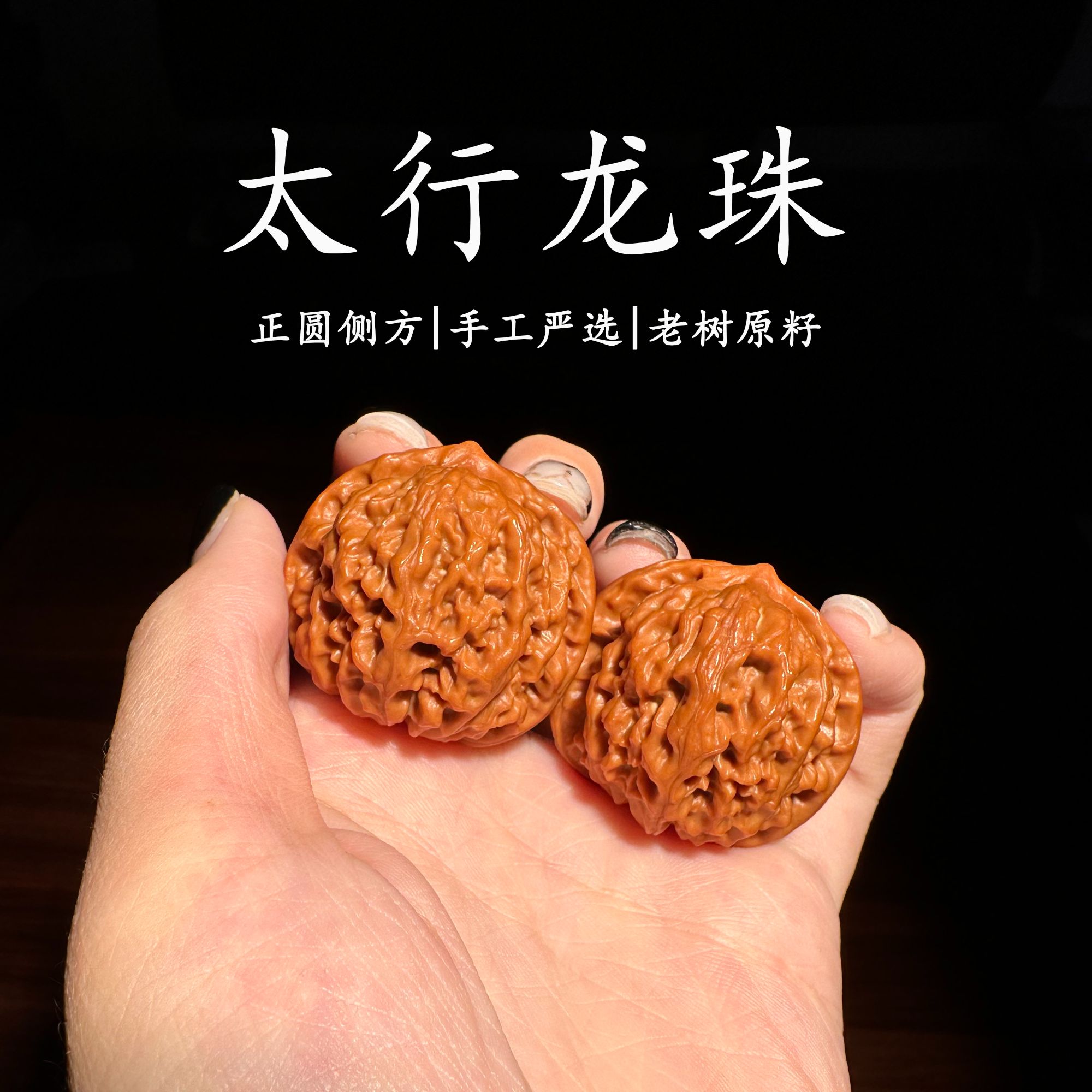 【莫卞】野生太行龙珠文玩核桃（玩家级）