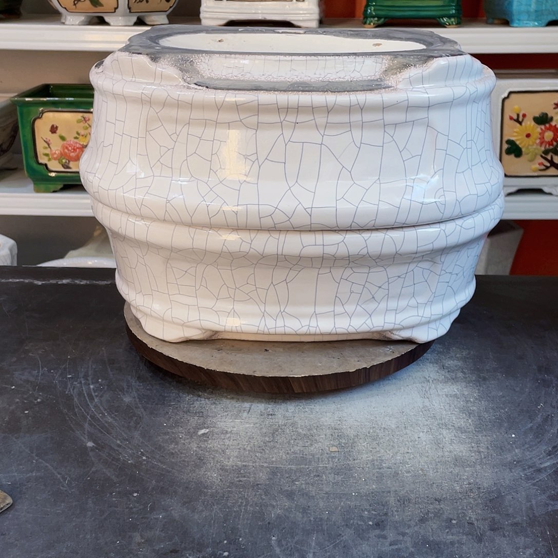 红陶3****g2222222222222