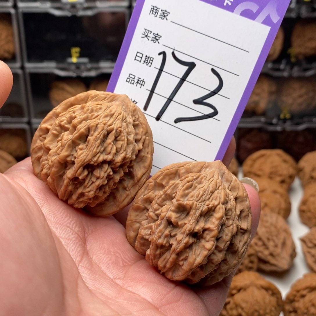 42山地全品麦穗虎头