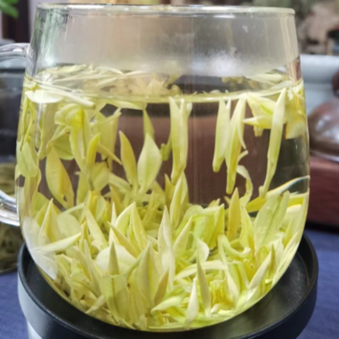 【头采大熊猫b】头采安吉奶香白茶 奶香 明前春茶 茶叶