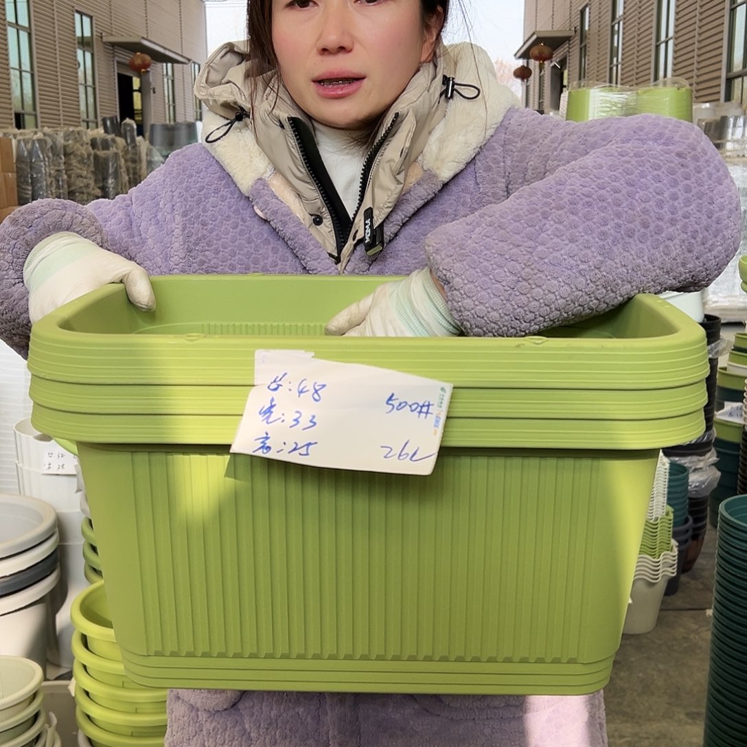 菜盆500#果绿3个无托