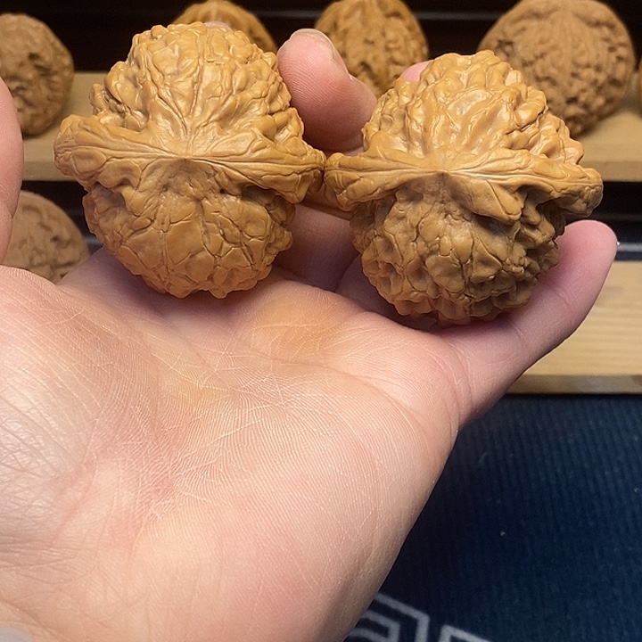 核桃50全品龙鼎福利