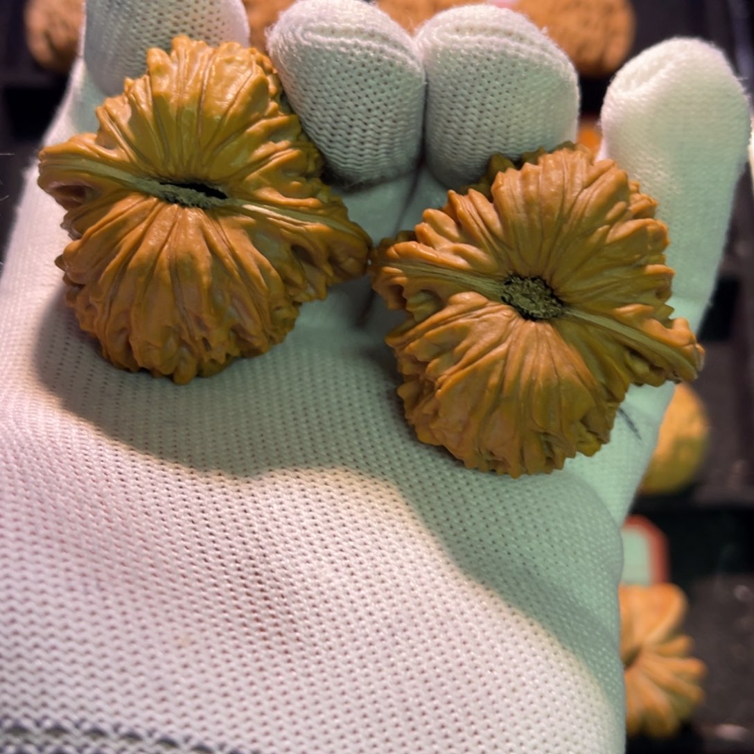 溥***马秦皇岛山地果全品