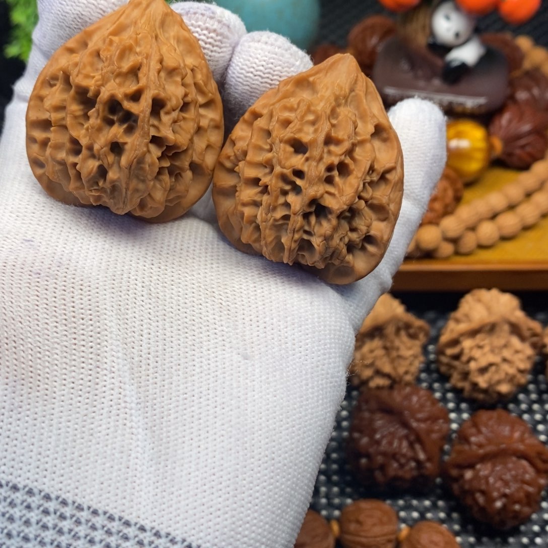 二***子秦岭山地核桃鸡心