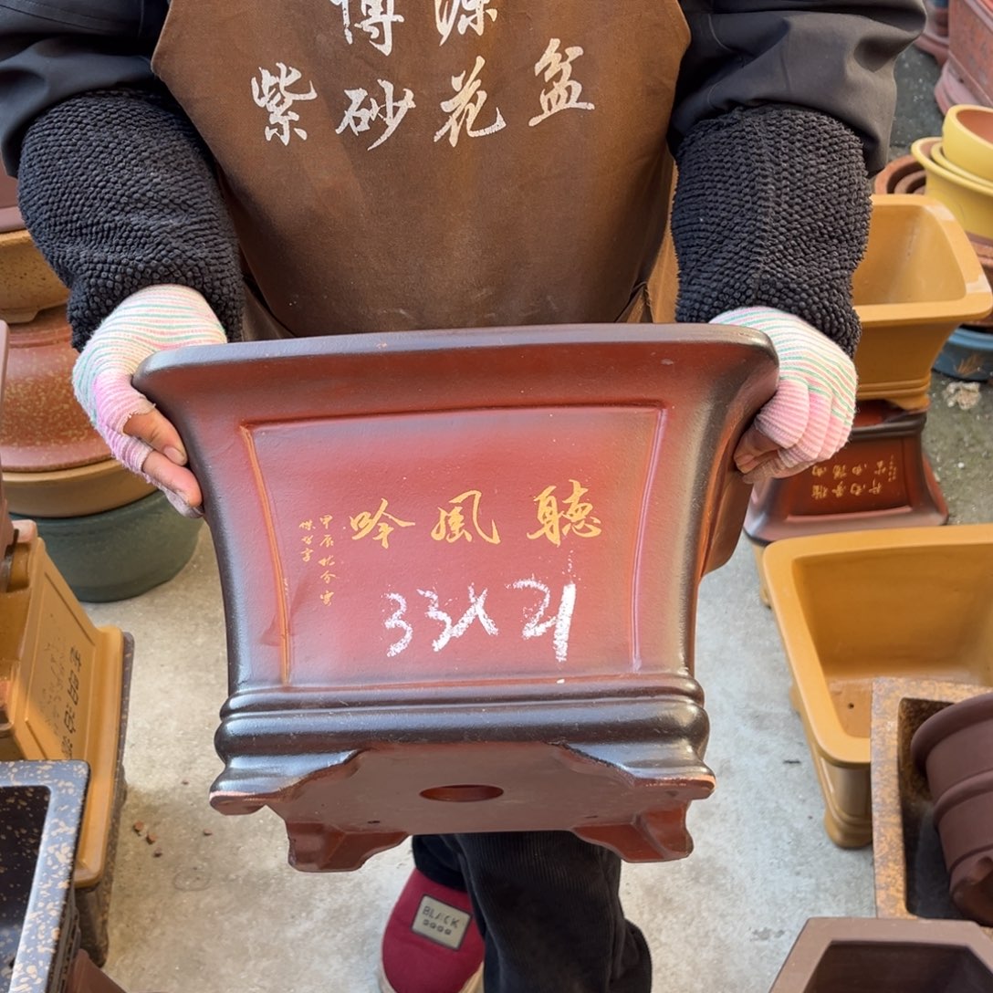 花盆紫砂盆景艺术