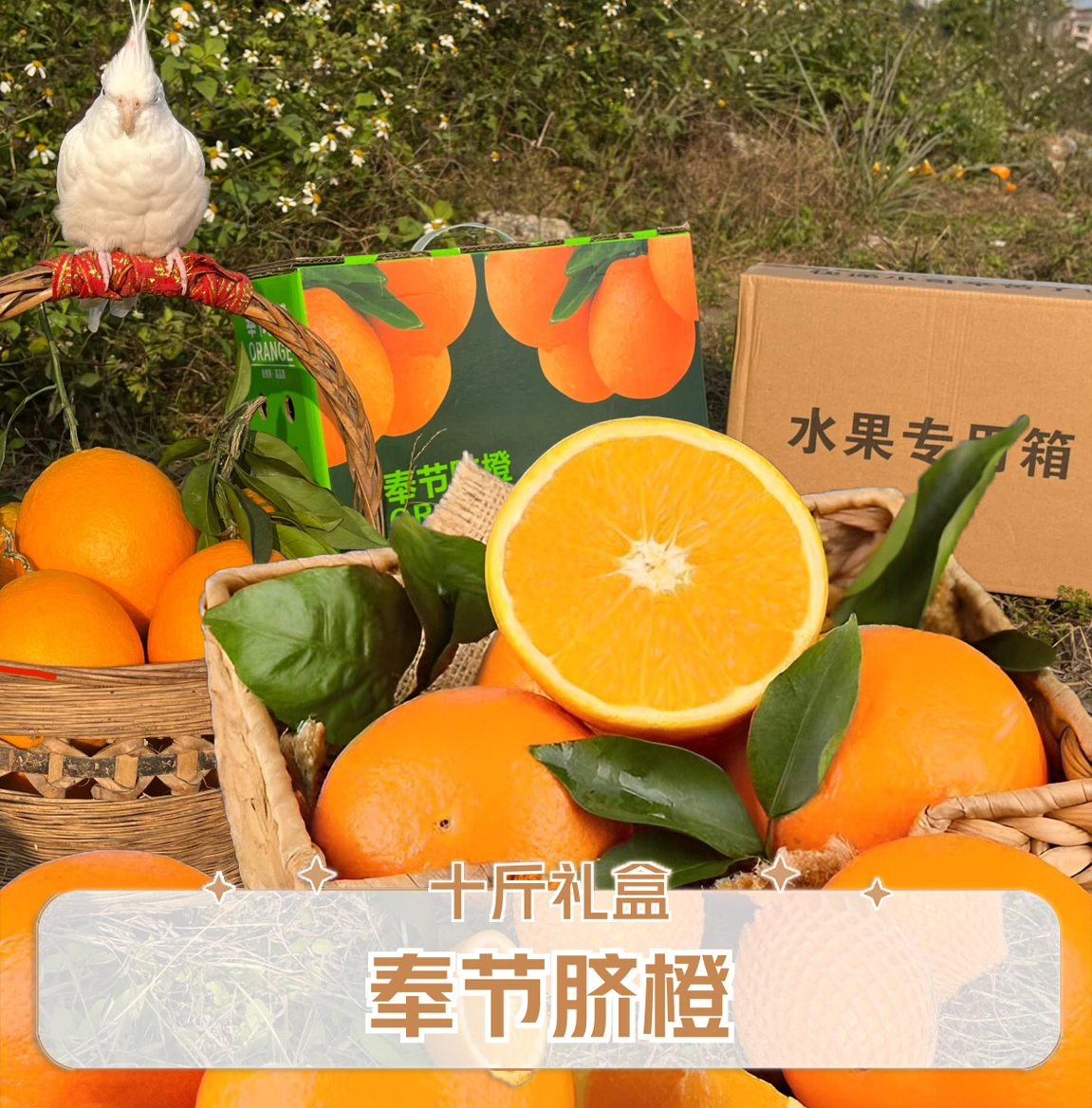 私人定制礼盒装（顺丰）精品10斤装重庆奉节脐橙现摘香甜多汁原产地