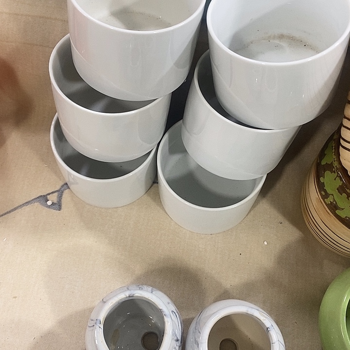 花盆抢购清货马上开始