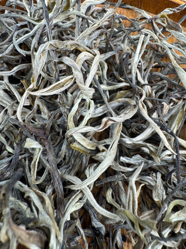 大雪山新化村1号古树生茶散茶春茶试喝装