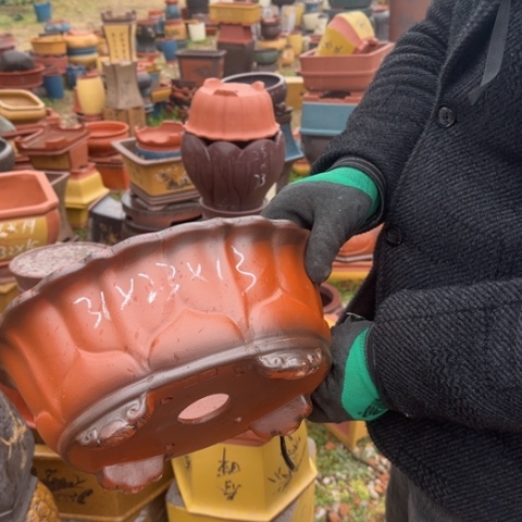 红陶紫砂花盆盆景盆栽