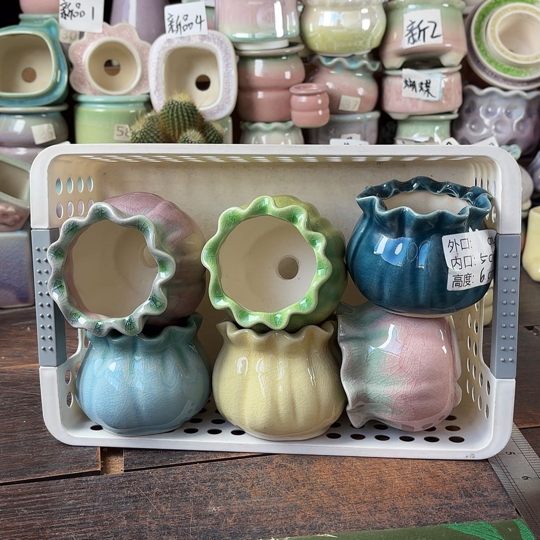 量货/5口高6深浅搭配发6