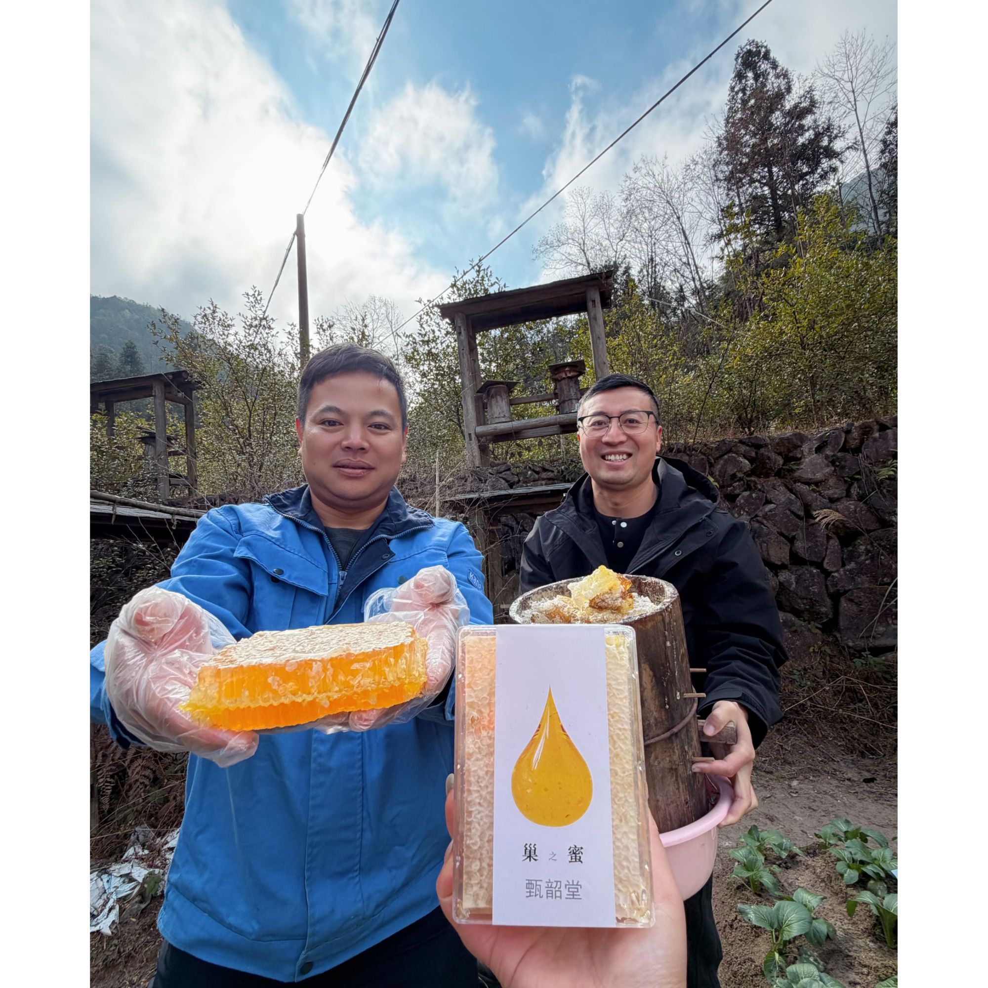 浙江丽水遂昌农家土蜂巢蜜