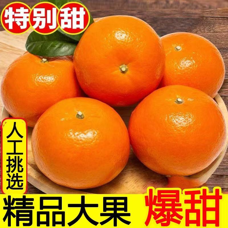 新【果园直发】云南高山新鲜沃柑应季薄皮新鲜水果橘子整箱约5斤9斤