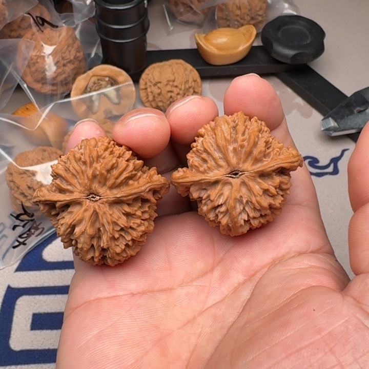 把件桃核山地满天星43尺50