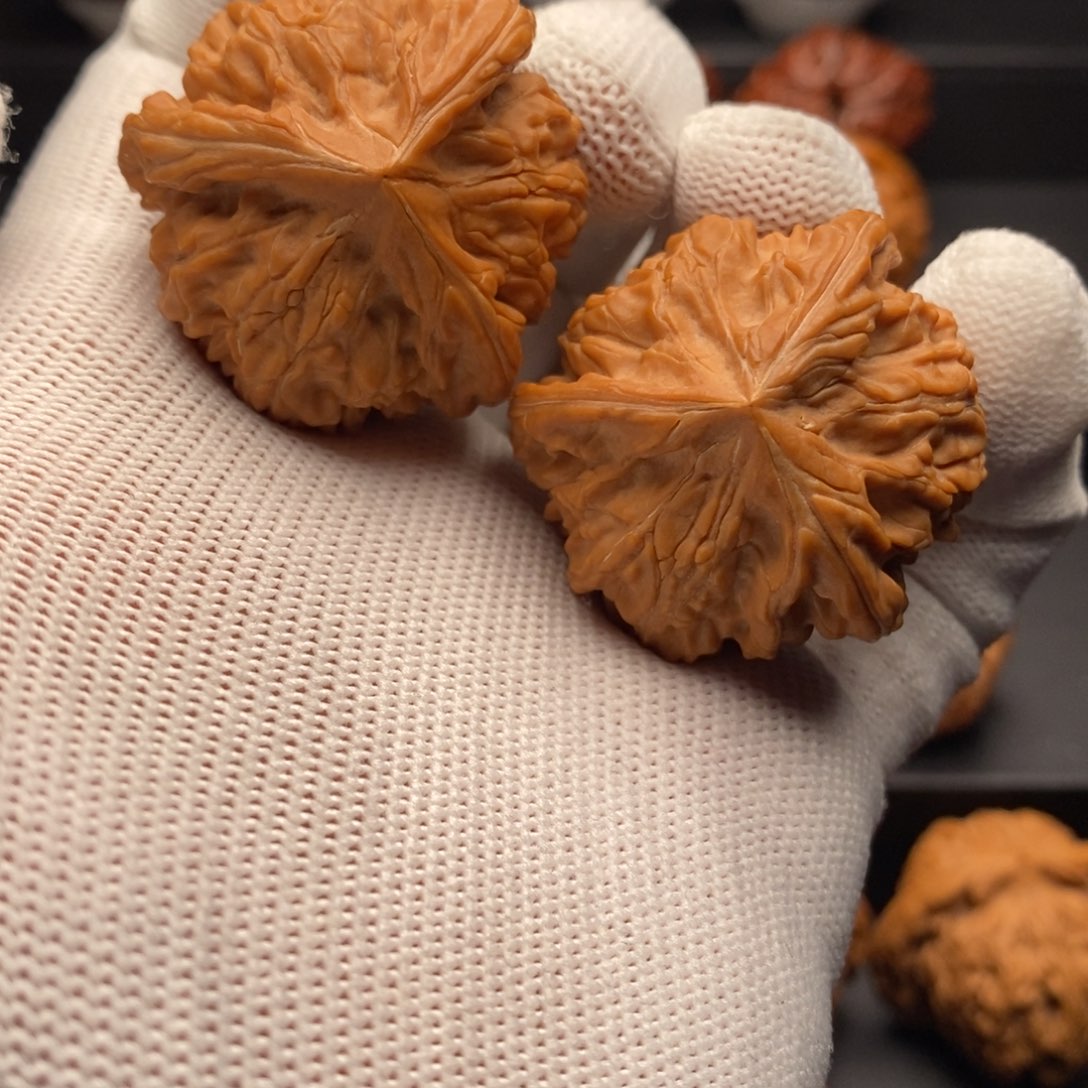 城***公文玩核桃把件39尺全品御龙奔