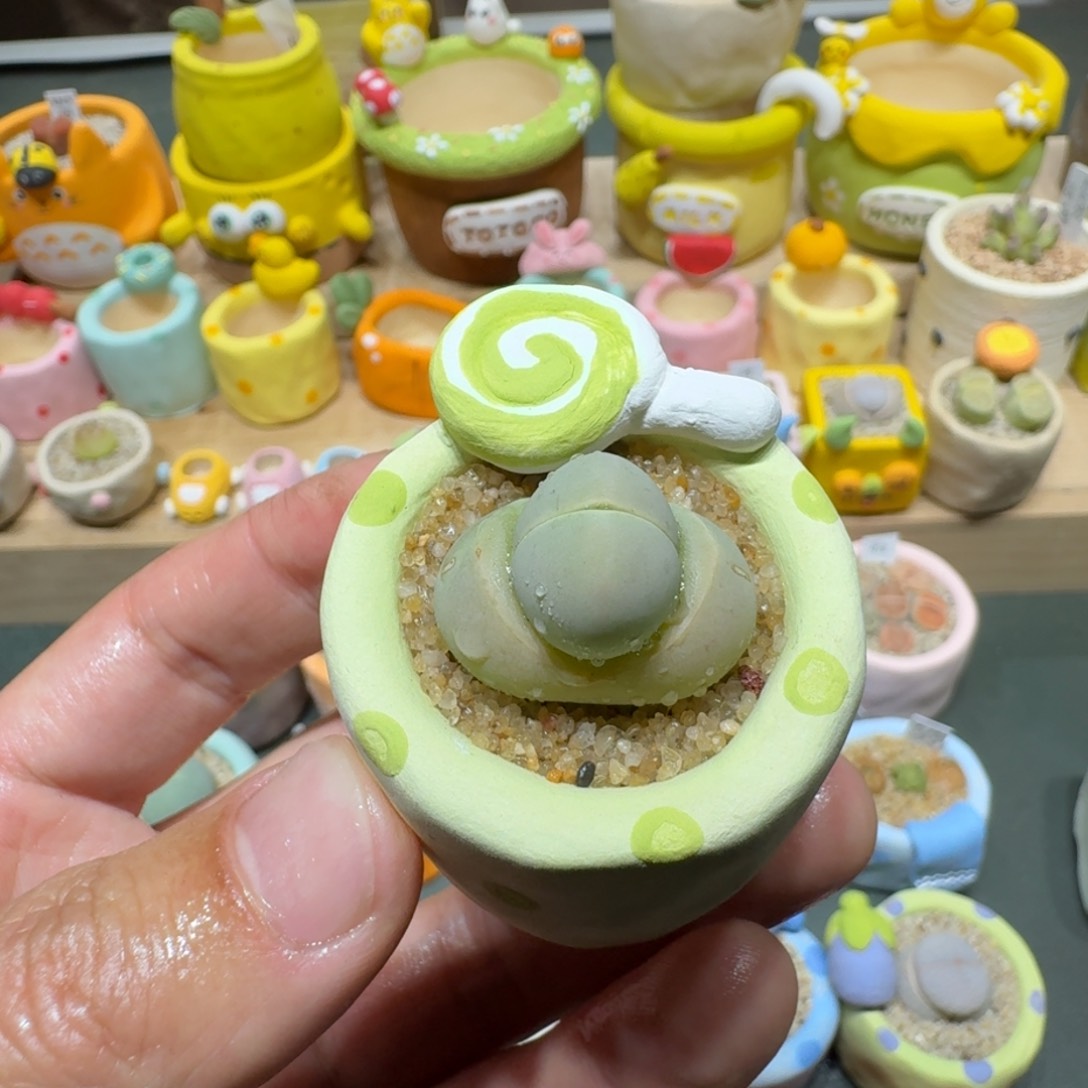 红陶蘑菇533绿春桃